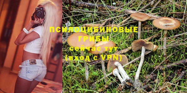 прущий лед Верея